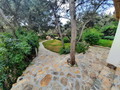 Villa Morus 824 Garten